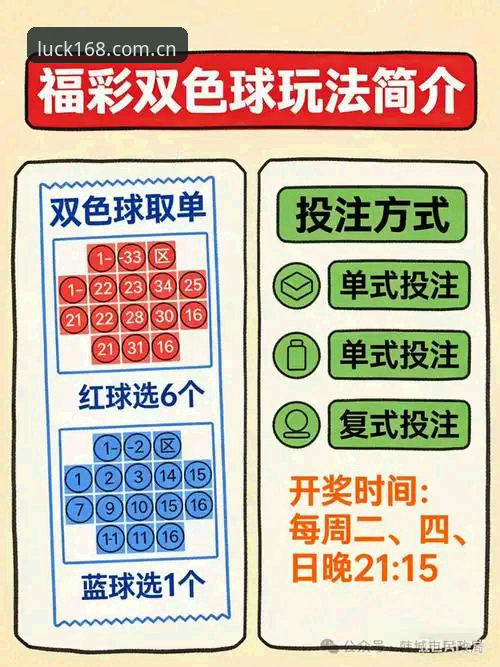 彩票官方app对比 彩票官方app对比实用指南:从新手到高手的选站技巧